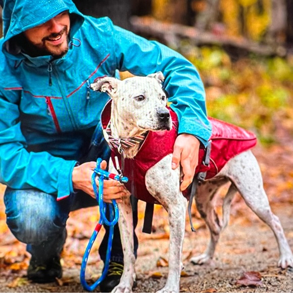 Kurgo Dog Kurgo Portsmouth Medium Foul Weather Rain Jacket For Dogs